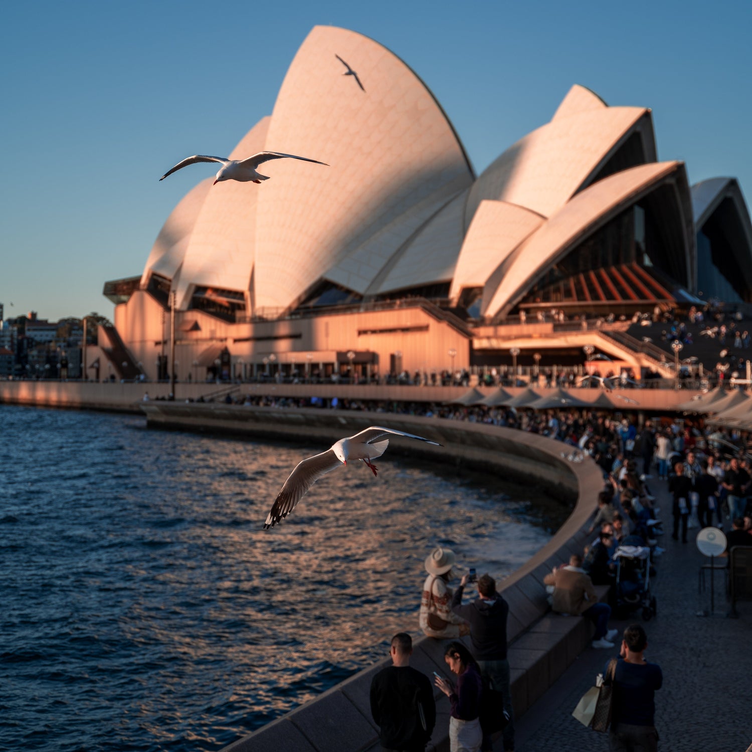 Schots Home Emporium