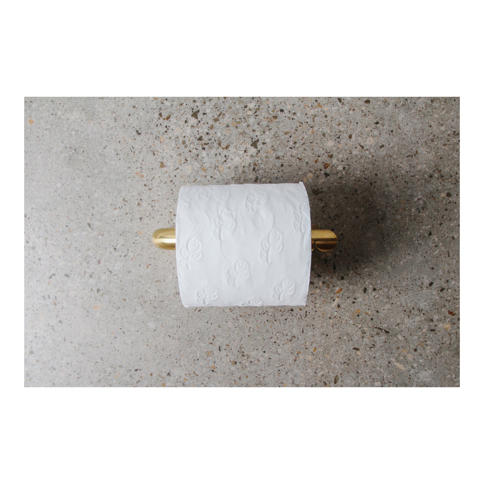 Nanobar Toilet Roll Holder, Polished Brass Organic