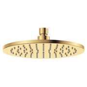 Starry Eco Flow Shower Head, Urban Brass