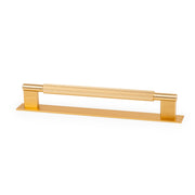 Arpa D Handle and Backplate 192mm Dull Brushed Dark Brass