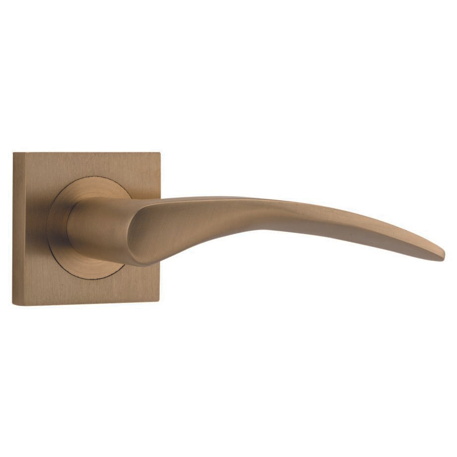 Door Lever Oxford Sq Rose SB D52xP64mm