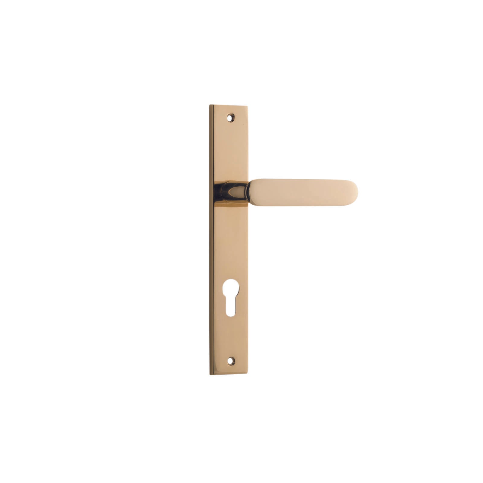 Bronte Lever Polished Brass Rectangular Backplate