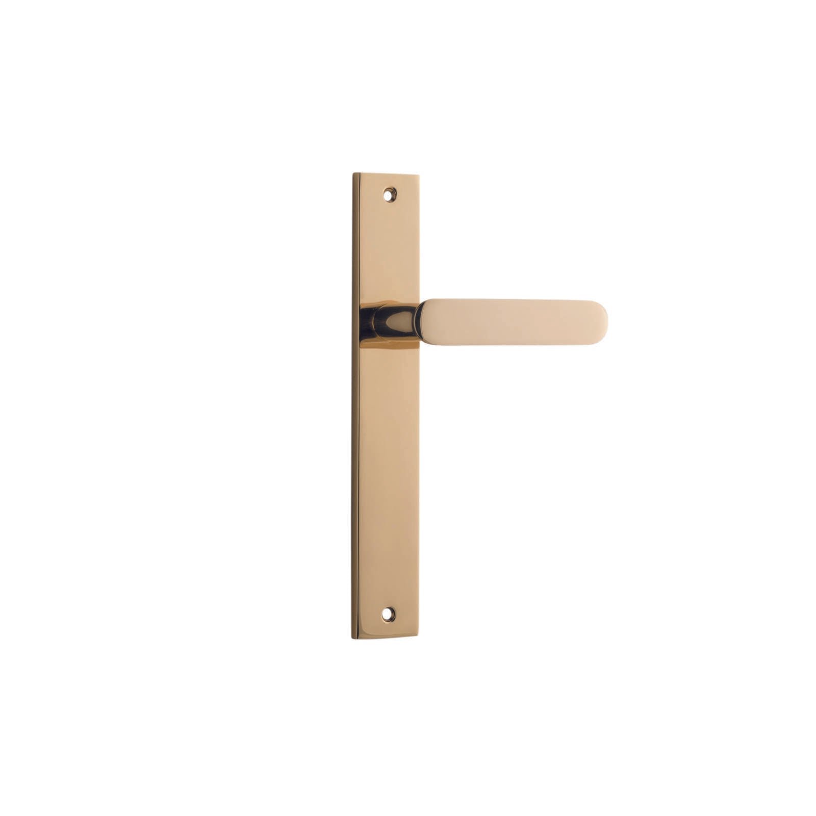 Bronte Lever Polished Brass Rectangular Backplate
