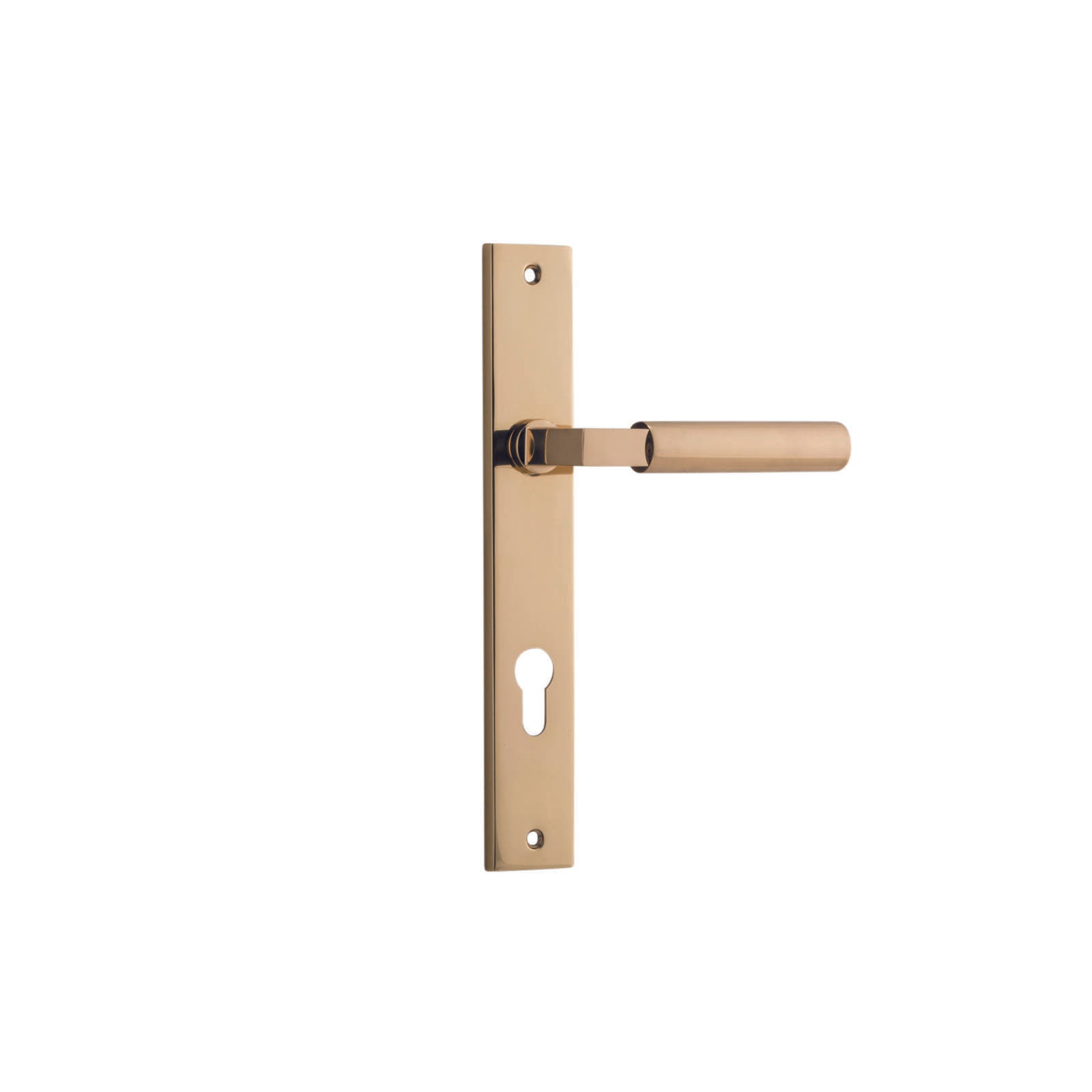 Berlin Lever Polished Brass Rectangular Backplate