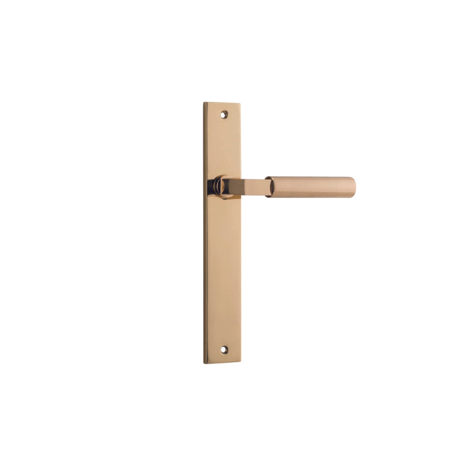 Berlin Lever Polished Brass Rectangular Backplate