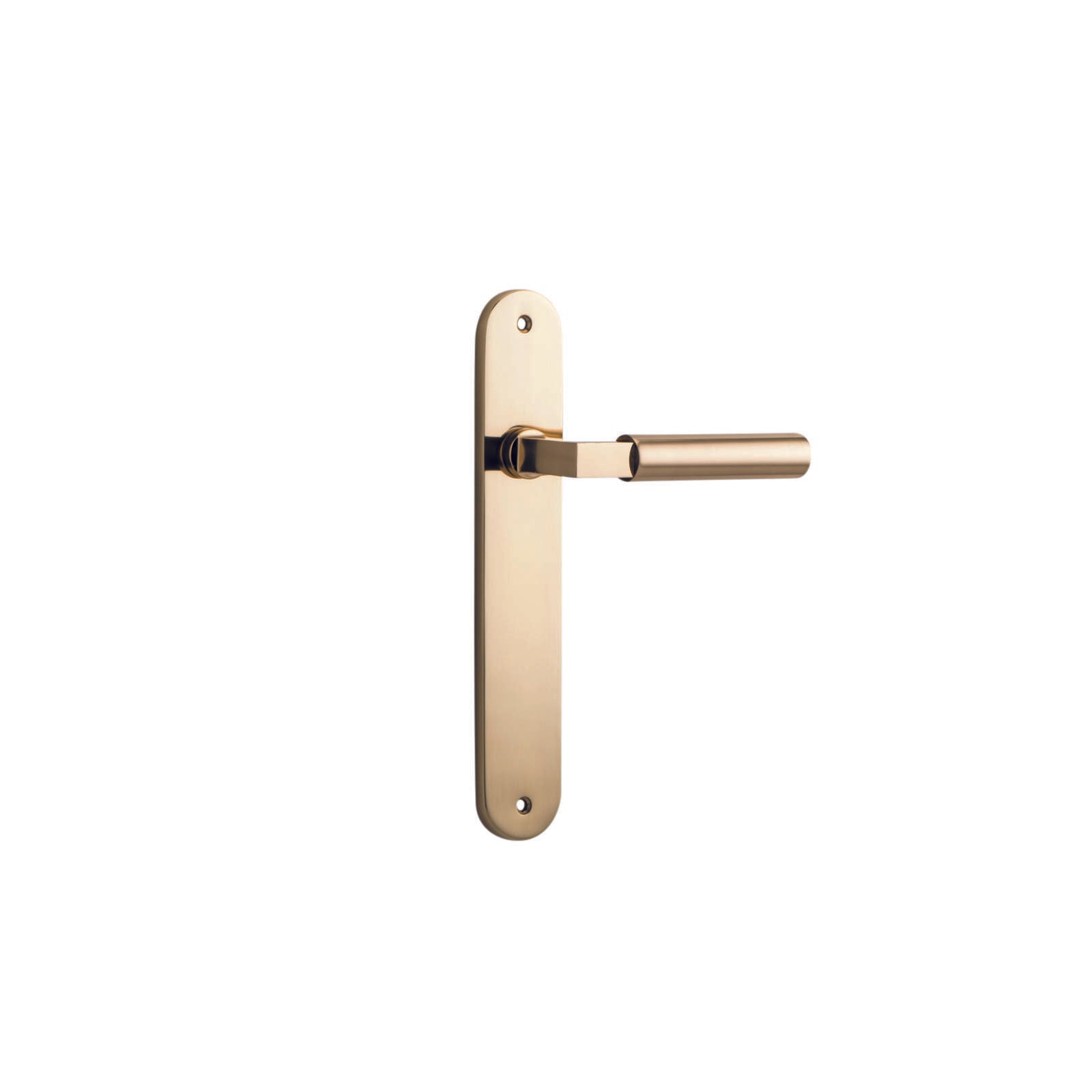 Berlin Lever Polished Brass Oval Backplate
