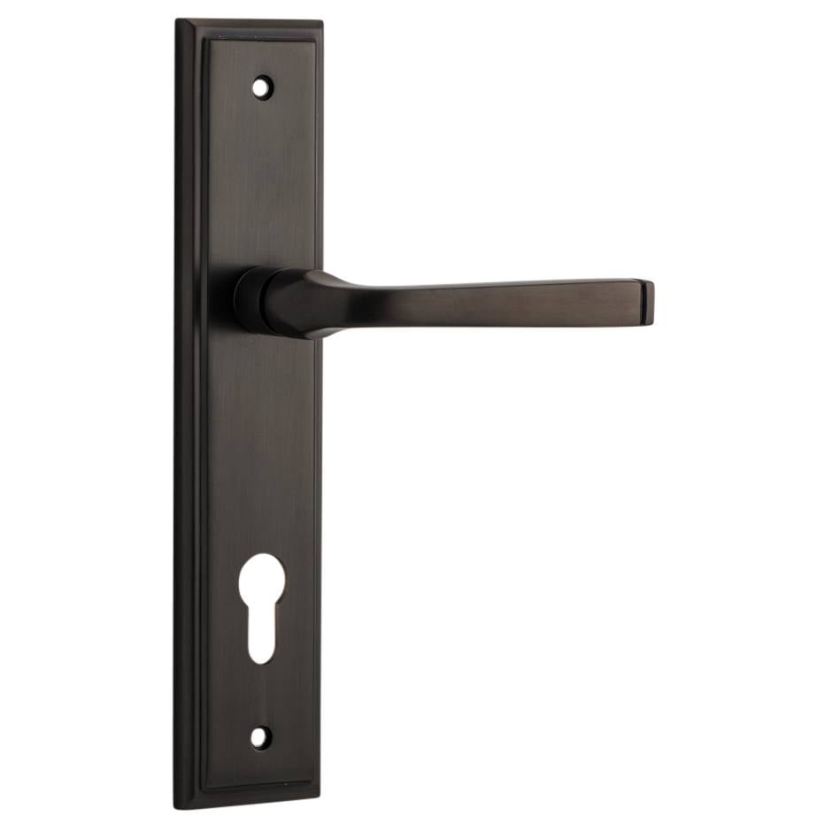 Annecy Lever Stepped Backplate Signature Brass