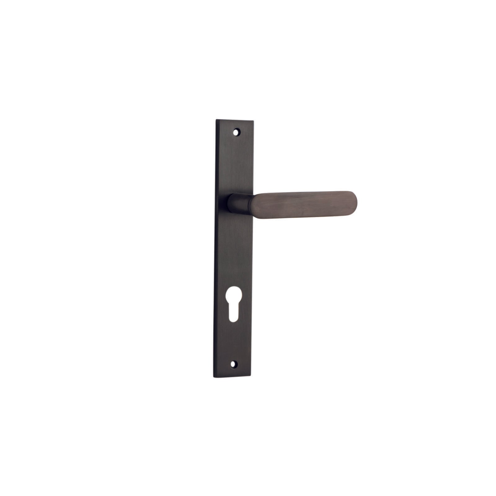Bronte Lever Signature Brass Rectangular Backplate