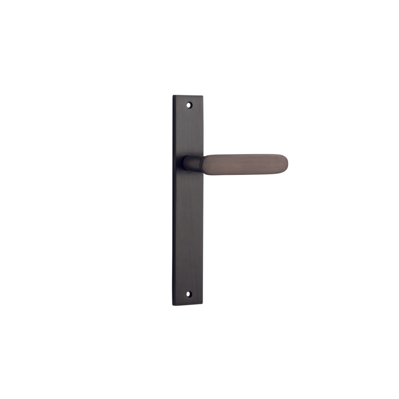 Bronte Lever Signature Brass Rectangular Backplate