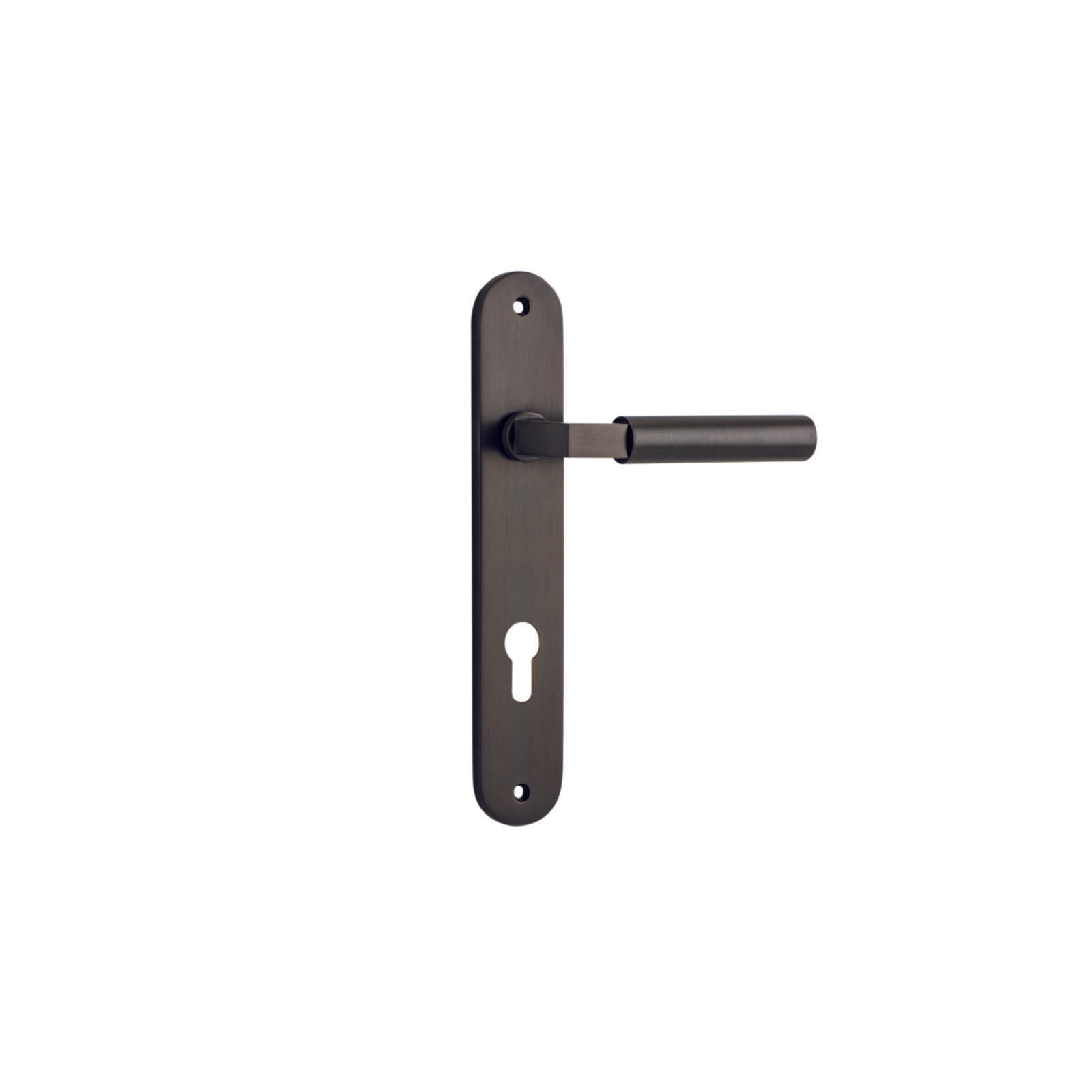 Berlin Lever Signature Brass Oval Backplate