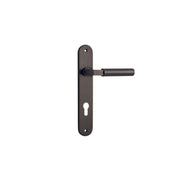 Berlin Lever Signature Brass Oval Backplate