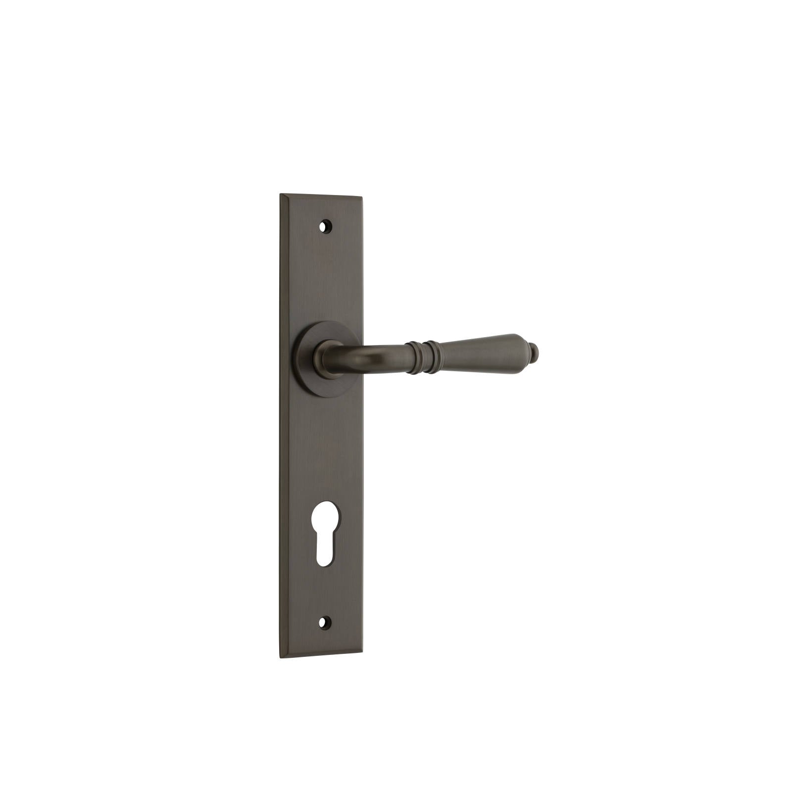 Sarlat Lever Signature Brass Chamfered Backplate