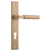 Berlin Lever Brushed Brass Rectangular Backplate