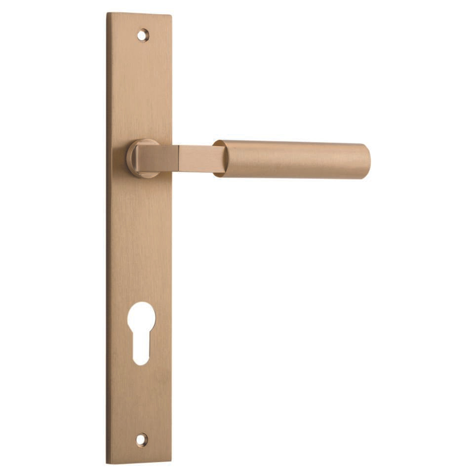 Berlin Lever Brushed Brass Rectangular Backplate