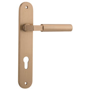 Berlin Lever Brushed Brass Oval Backplate