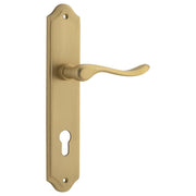 Stirling Lever Shouldered Backplate Brushed Brass