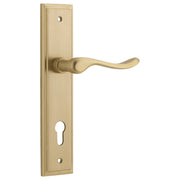 Stirling Lever Stepped Backplate Brushed Brass