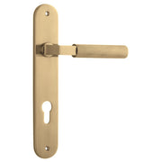 Brunswick Lever Brushed Gold Pvd Oval Backplate