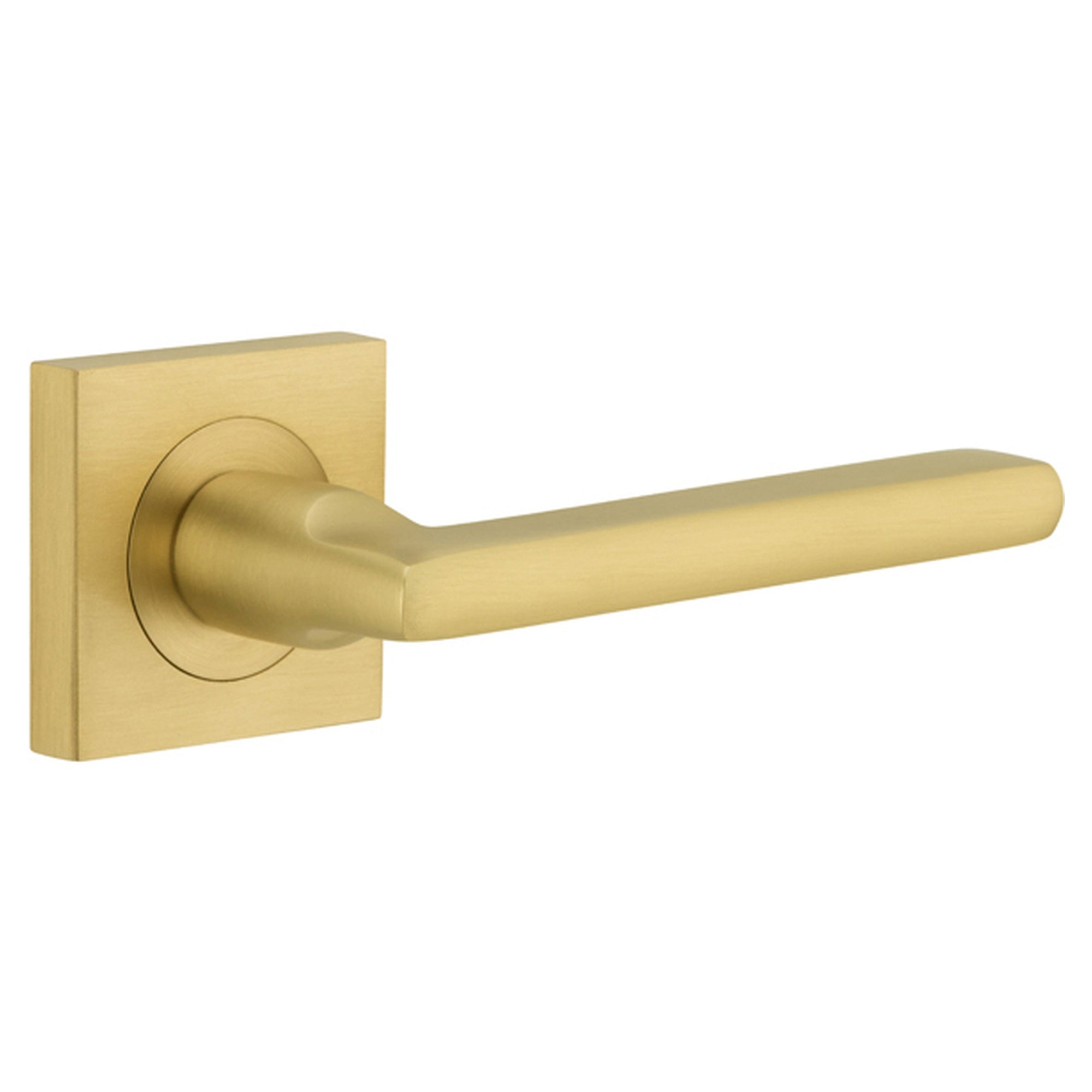 IVE16275_01.jpg