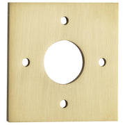 Adaptor Plate Square Brushed Gold PVD