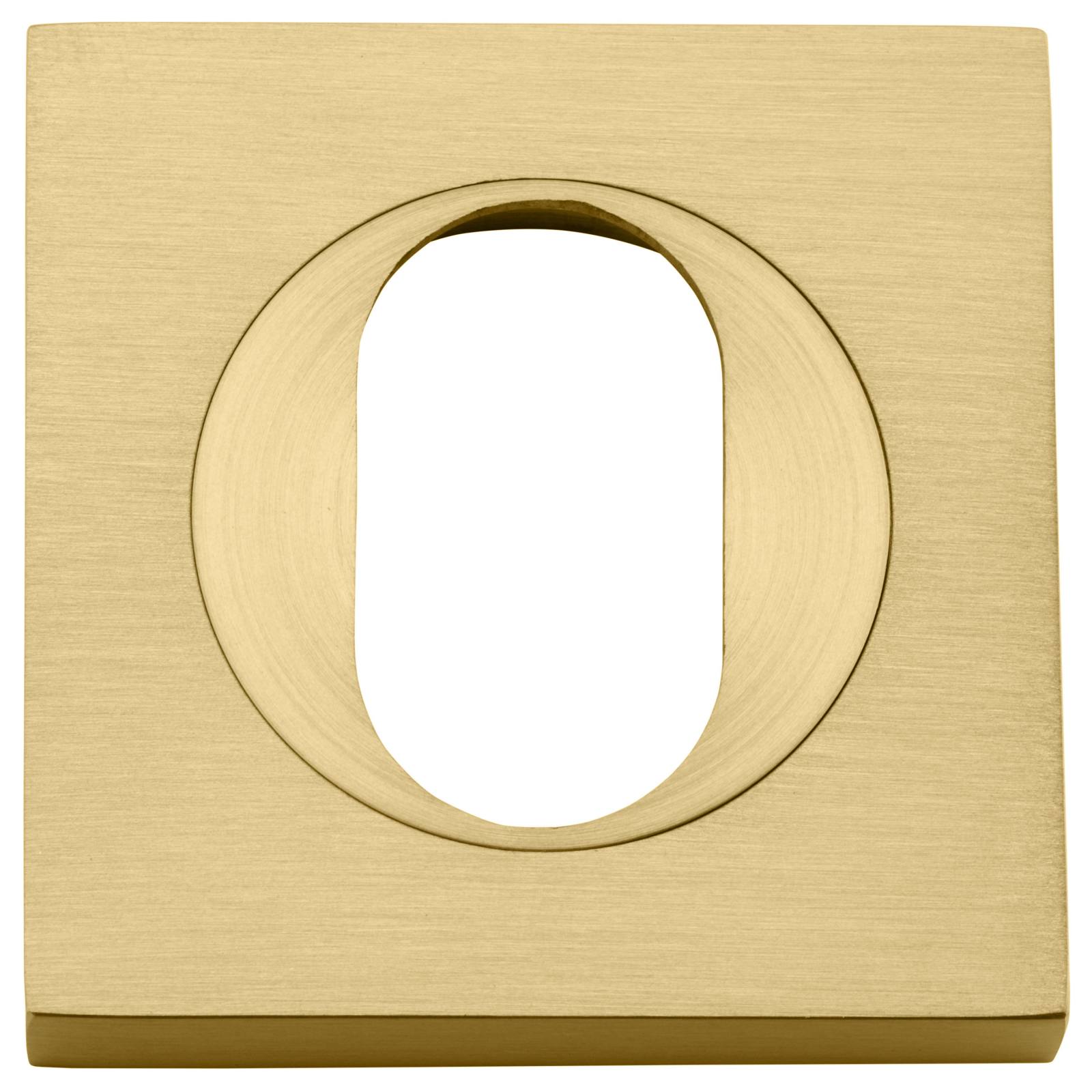 Oval Escutcheon Square Brushed Gold PVD