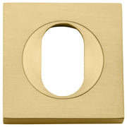 Oval Escutcheon Square Brushed Gold PVD
