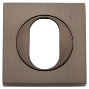 Oval Escutcheon Square Signature Brass