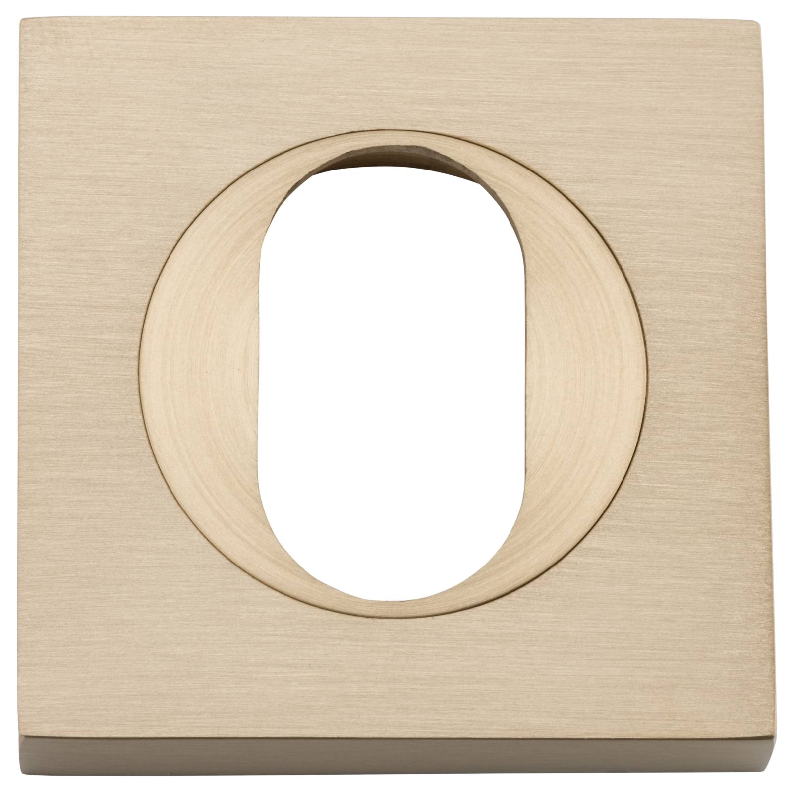 Oval Escutcheon Square Brushed Brass