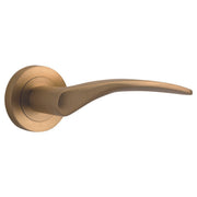 Oxford Lever on Round Rose Brushed Brass