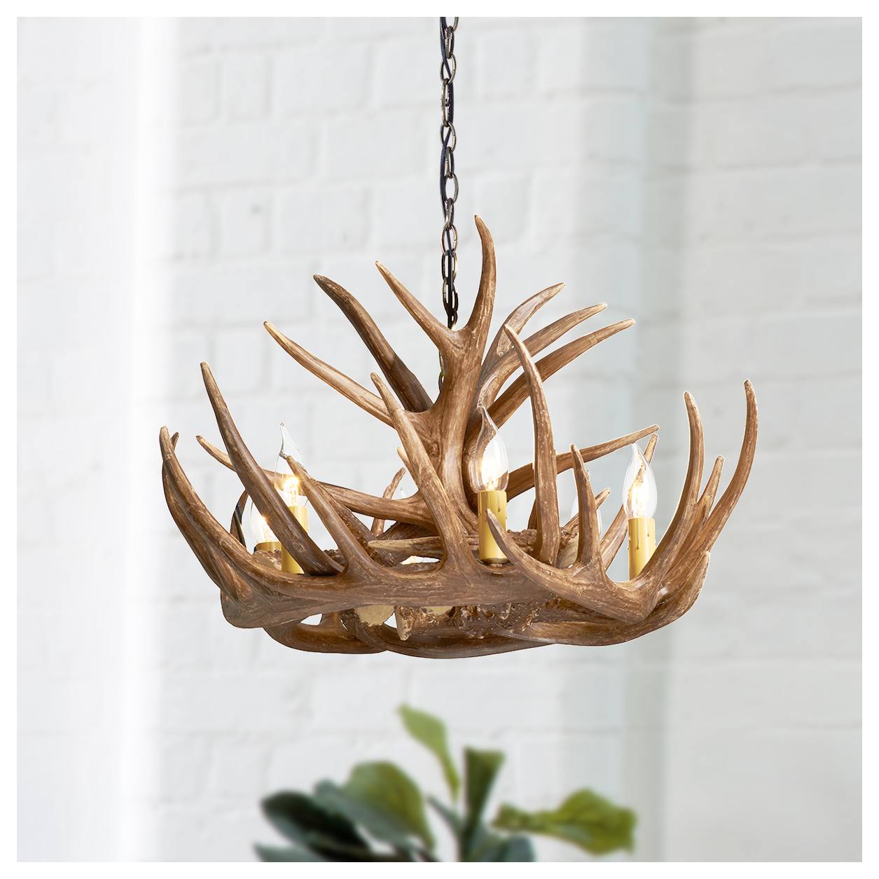 Ancona 6 Light Resin Antler Chandelier, Natural