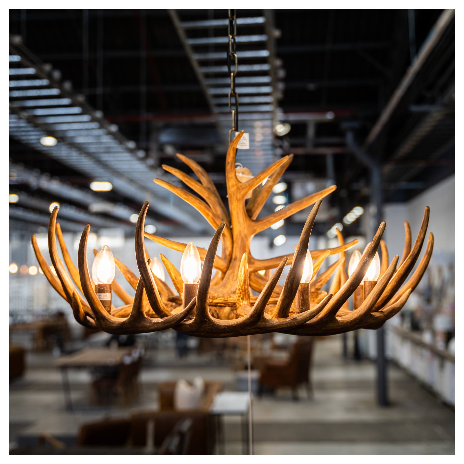 Gera 9 Light Resin Antler Chandelier, Natural