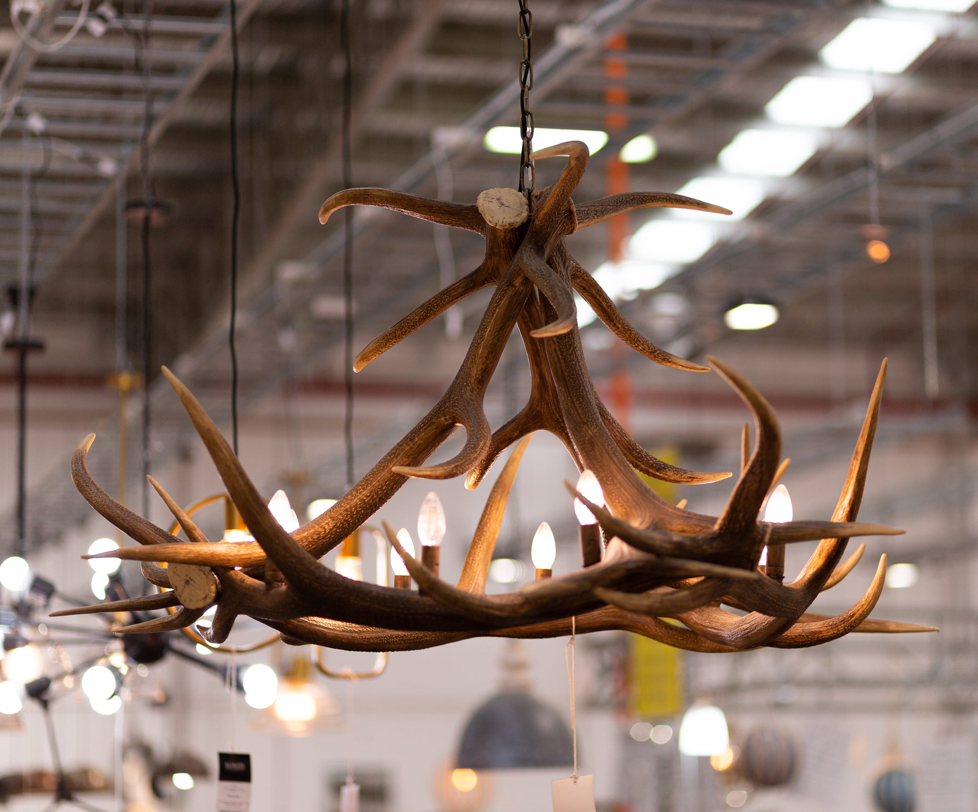 Tatlow 9 Light Resin Antler Chandelier, Natural