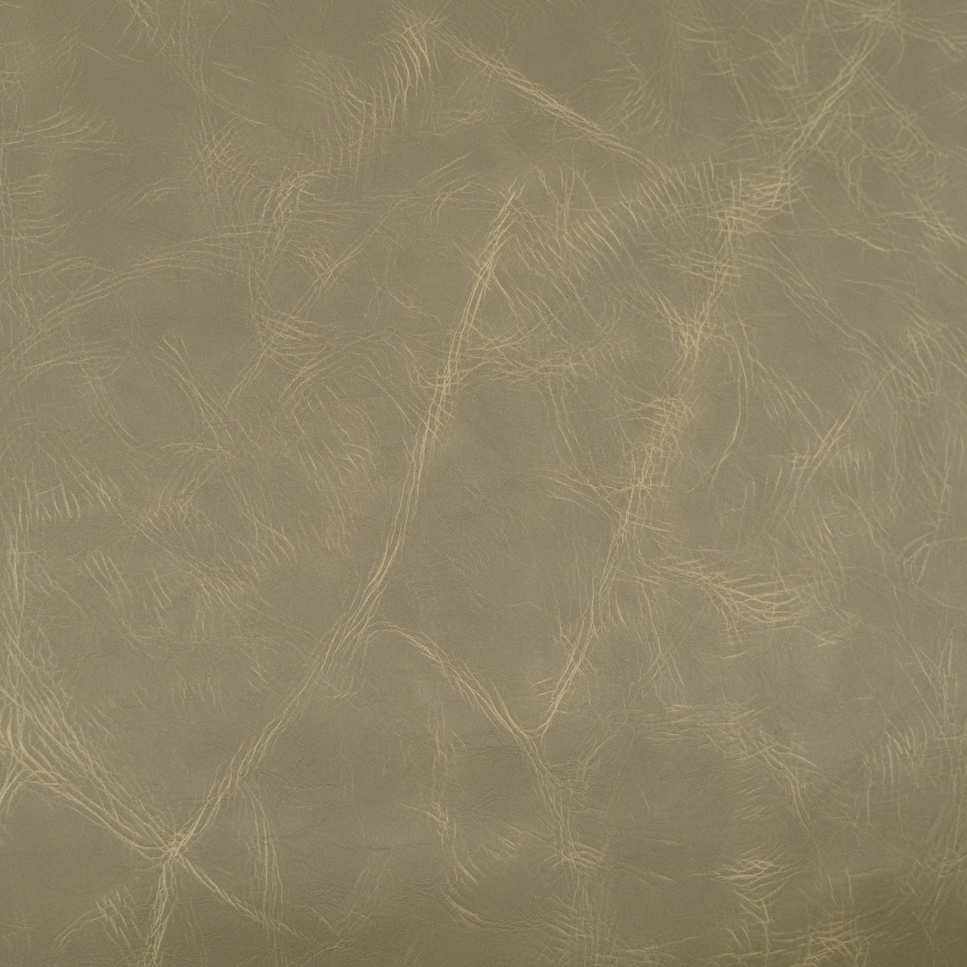 KAI18097_09.jpg