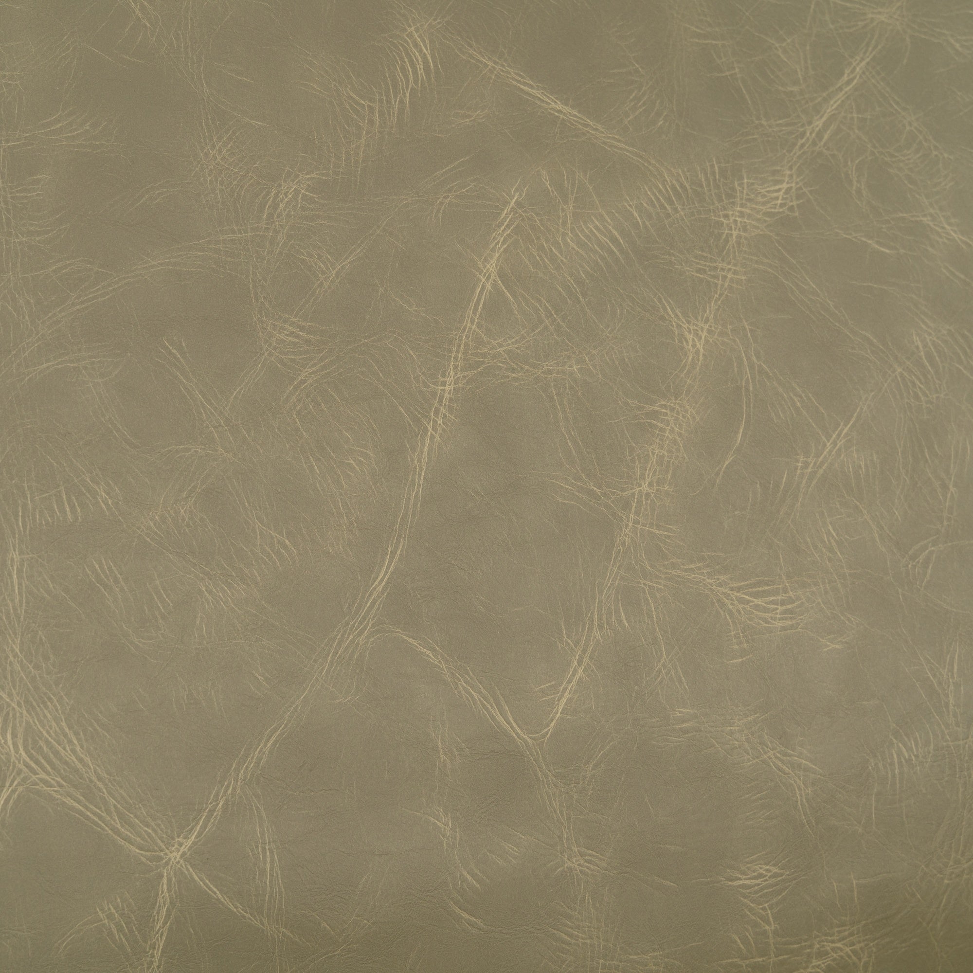 KAI18097_09.jpg