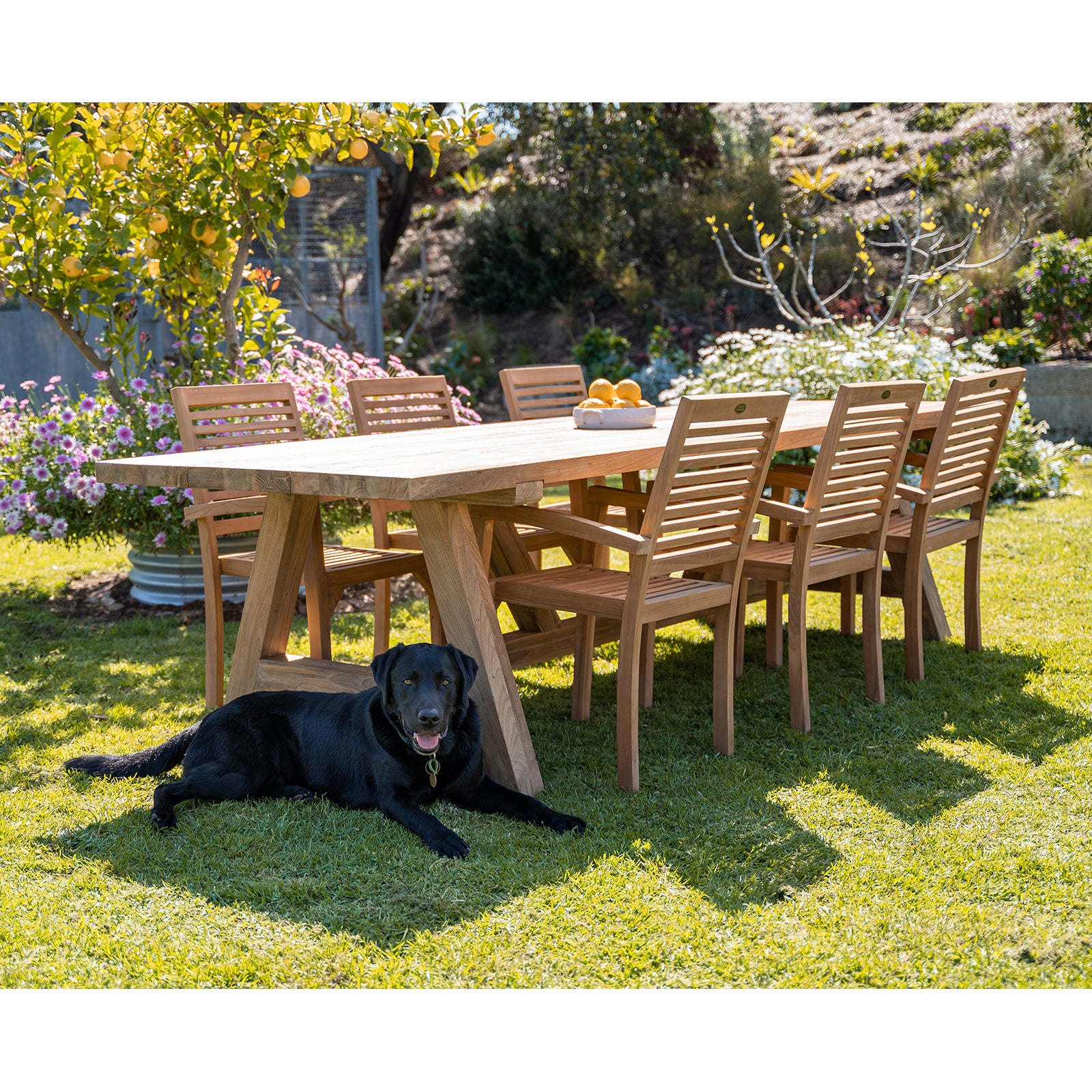 Medan 53x55x93cmTeak Arm Chair, Natural