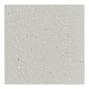 Plain Terrazzo 20x20x1.6 Encaustic Tile with Mother Pearl, Beige