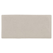 Rustique Body Tile 6x3, Speckled Grey