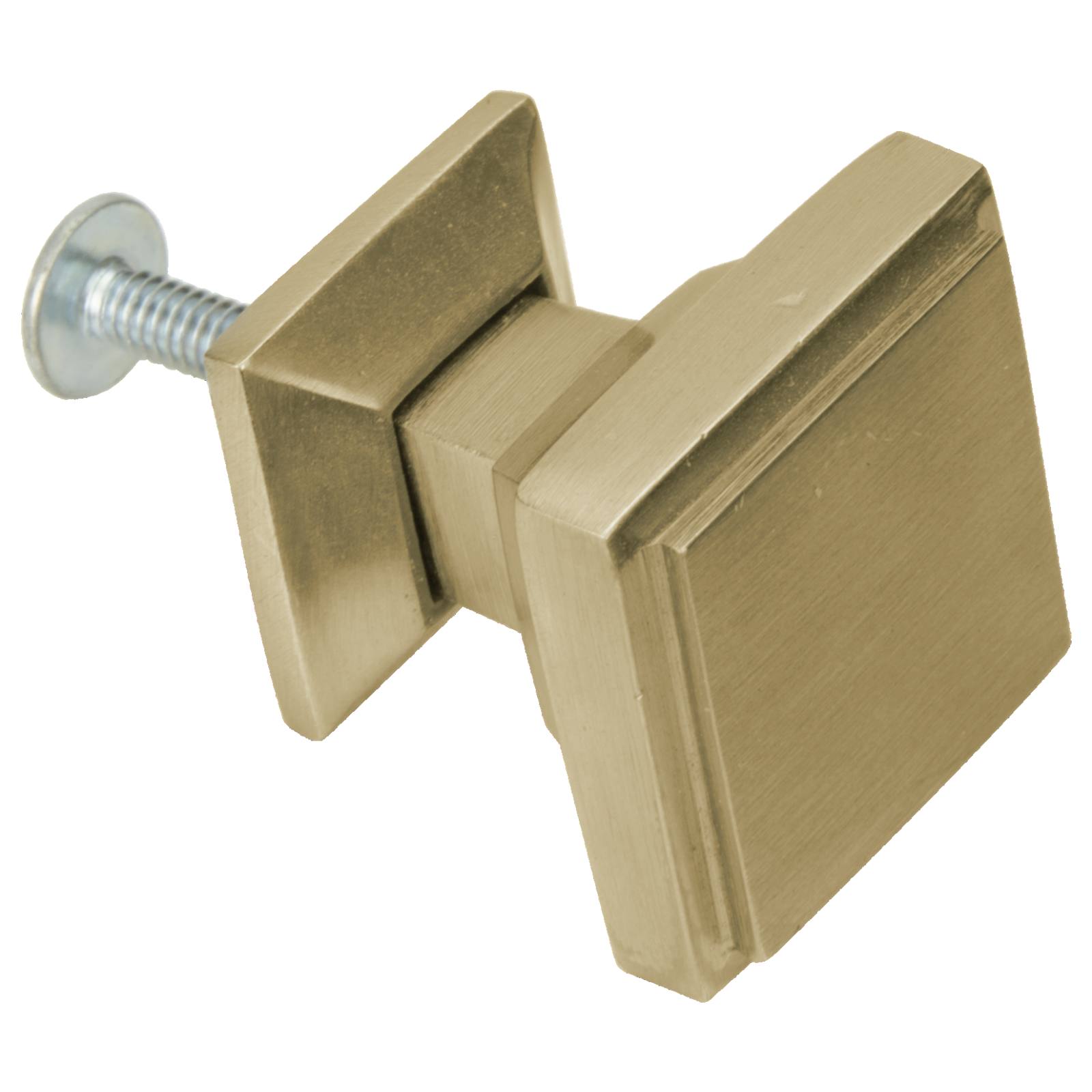 Everly Large Cupboard Knob, Raw Brass