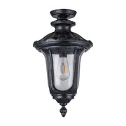Waterford Medium Outdoor Under Eave, Antique Black