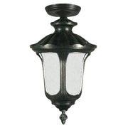 Waterford Medium Outdoor Under Eave, Antique Black