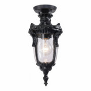 Wellington Small Outdoor Under Eave, Antique Black