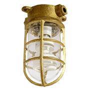 Regatta Outdoor Ceiling Mount Light, Solid Brass