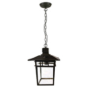 Promenade Medium Indoor Chain Pendant Light, Antique Bronze