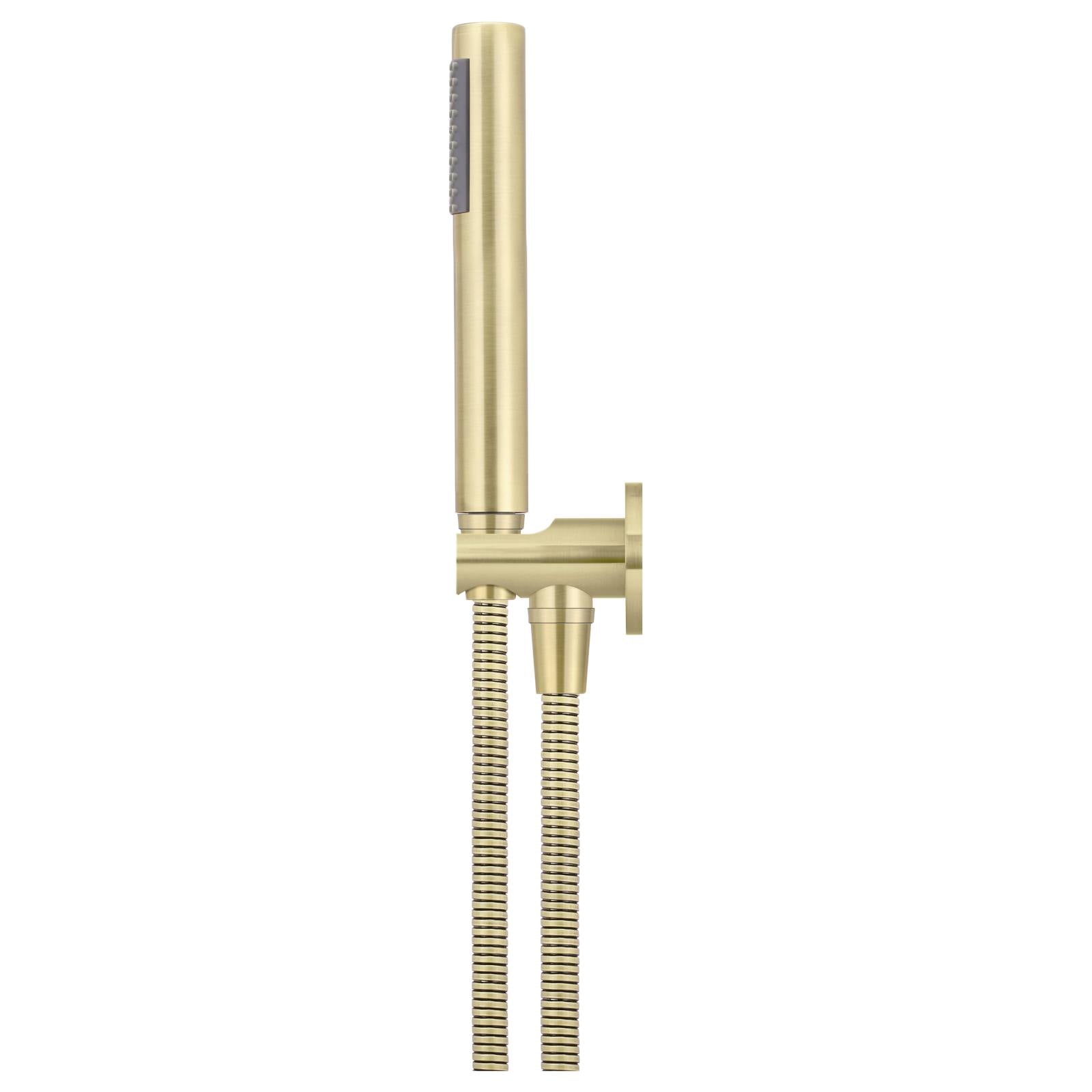 Round Hand Shower on Fixed Bracket, PVD Tiger Bronze