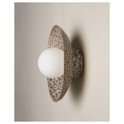 Dish Wall Sconce, White Ochre