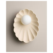 Oyster Wall Sconce, Bone