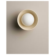 Small Bowl Wall Sconce, Bone