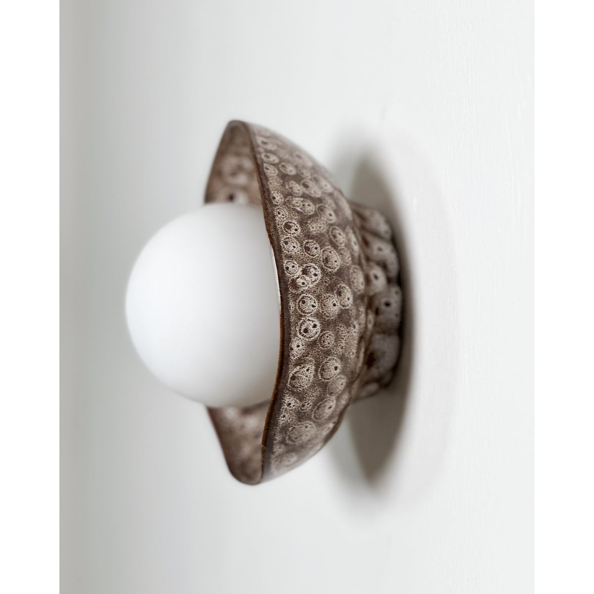 Shell Wall Sconce, White Ochre