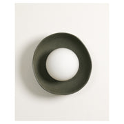Shell Wall Sconce, Rivergum