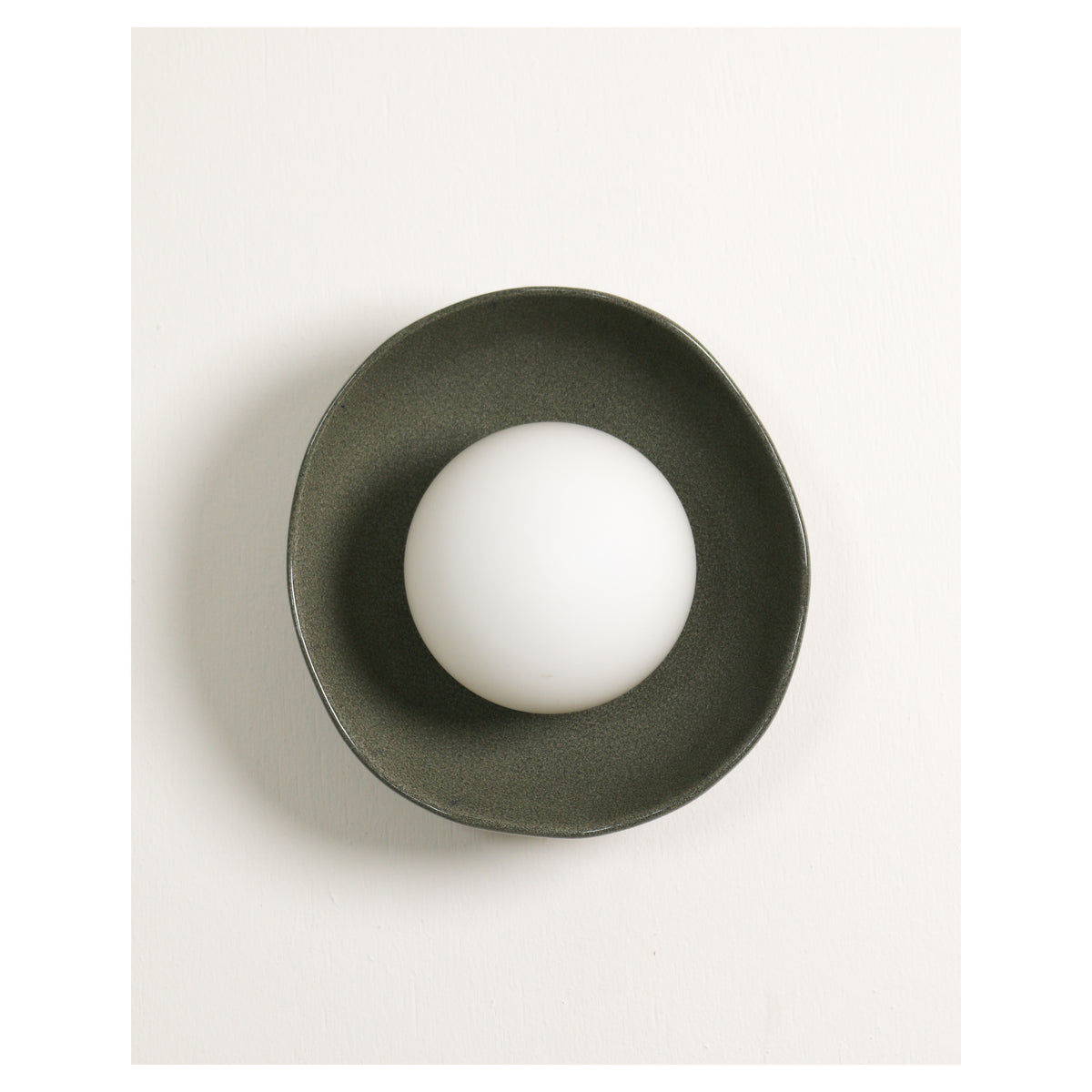 Shell Wall Sconce, Rivergum